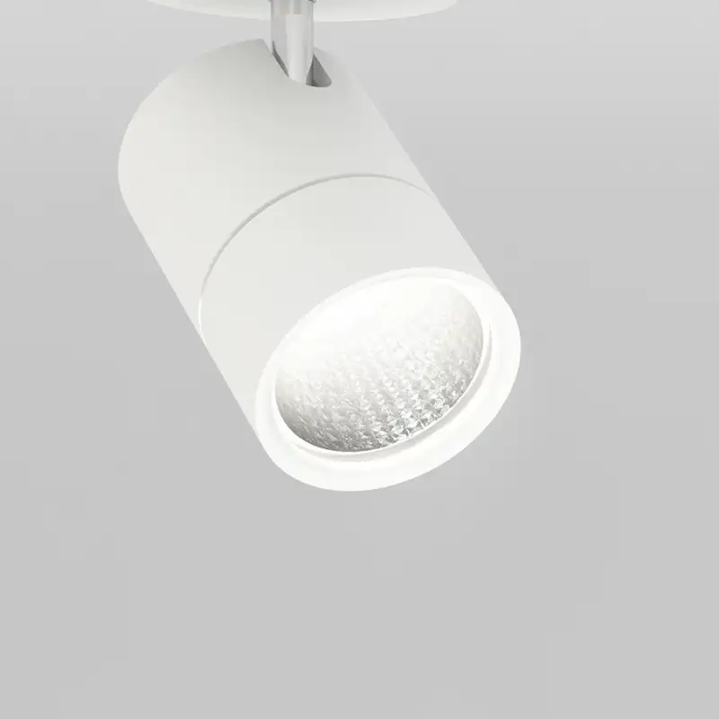 Molto luce  599-21401595[Mol] 