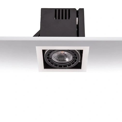 LED Светильник встраиваемый карданный