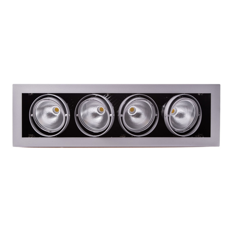 ART-E-205 x4 LED светильник карданный Downlight   -  Встраиваемые светильники 