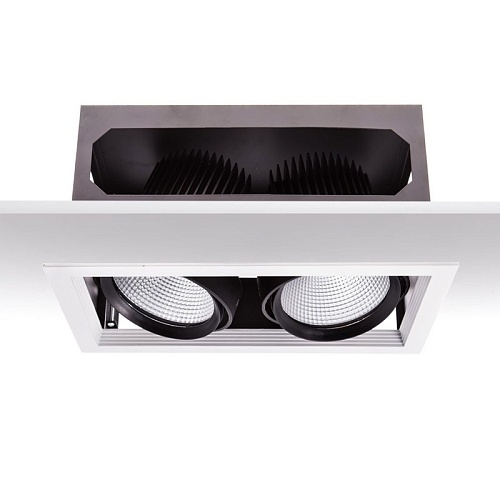 ART-E-186 х2 LED светильник встраиваемый карданный  Downlight   -  Встраиваемые светильники 